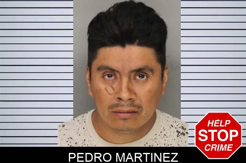 Pedro Martinez mugshot