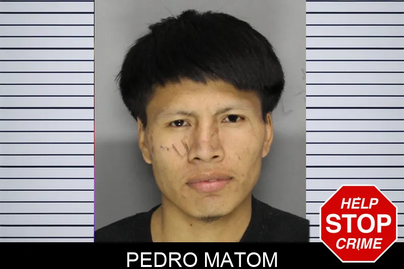 Pedro Matom mugshot – Cobb County , Georgia Pedro Matom mugshot