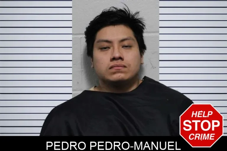 Pedro Pedro-Manuel