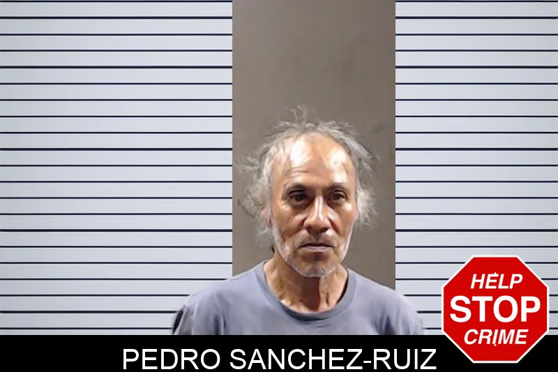 Pedro Sanchez-Ruiz mugshot