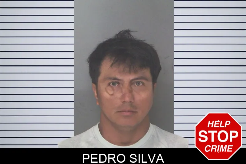 Pedro Silva mugshot