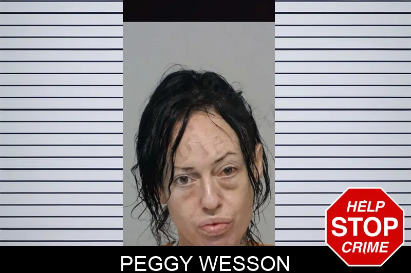 Peggy Wesson mugshot