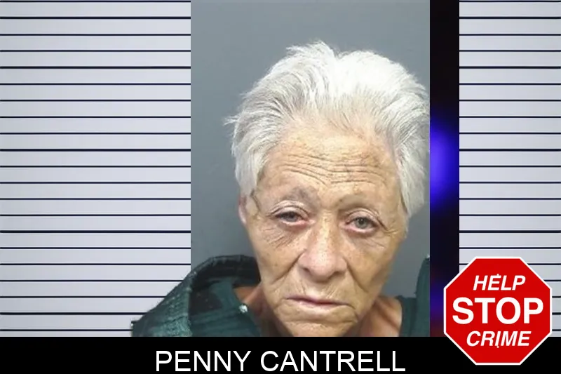 Penny Cantrell mugshot – Cherokee County , Georgia Penny Cantrell mugshot