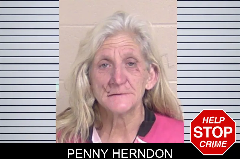 Penny Herndon mugshot – Walker County , Georgia Penny Herndon mugshot