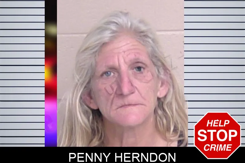 Penny Herndon mugshot