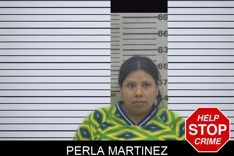 Perla Martinez mugshot