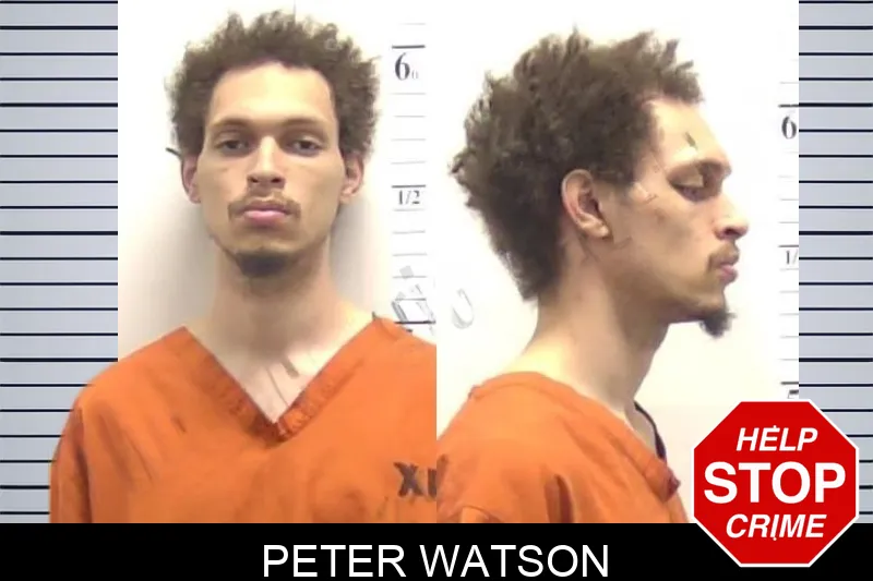 Peter Watson mugshot – Clarke County , Georgia Peter Watson mugshot