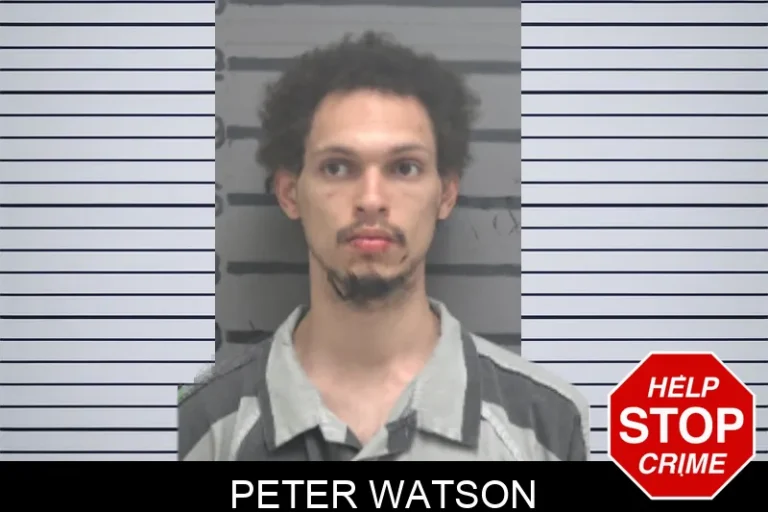 Peter Watson
