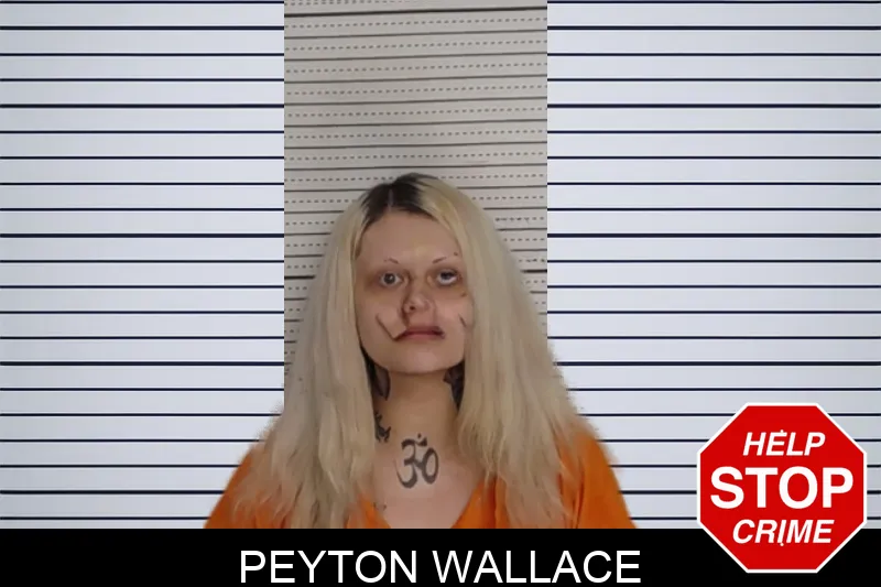 Peyton Wallace mugshot