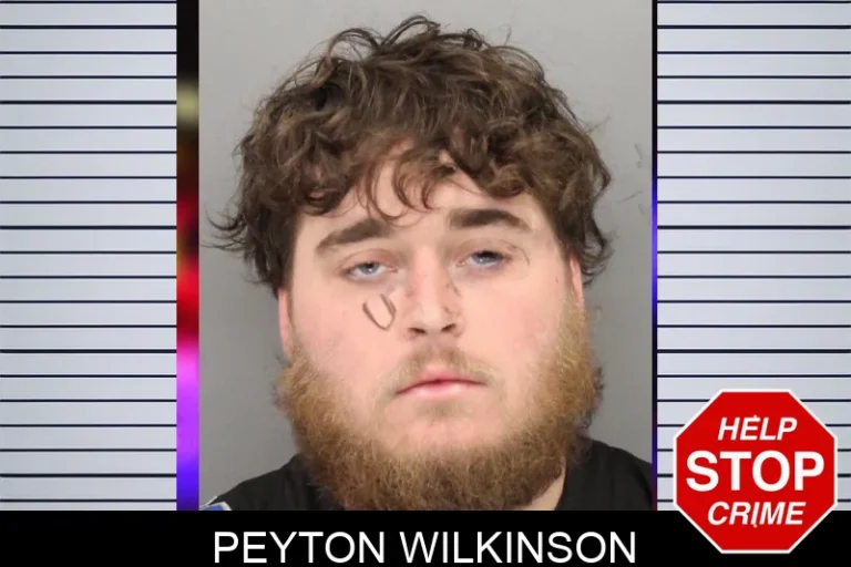 Peyton Wilkinson mugshot – Cobb County , Georgia Peyton Wilkinson