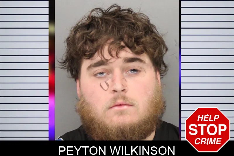Peyton Wilkinson mugshot – Cobb County , Georgia Peyton Wilkinson mugshot