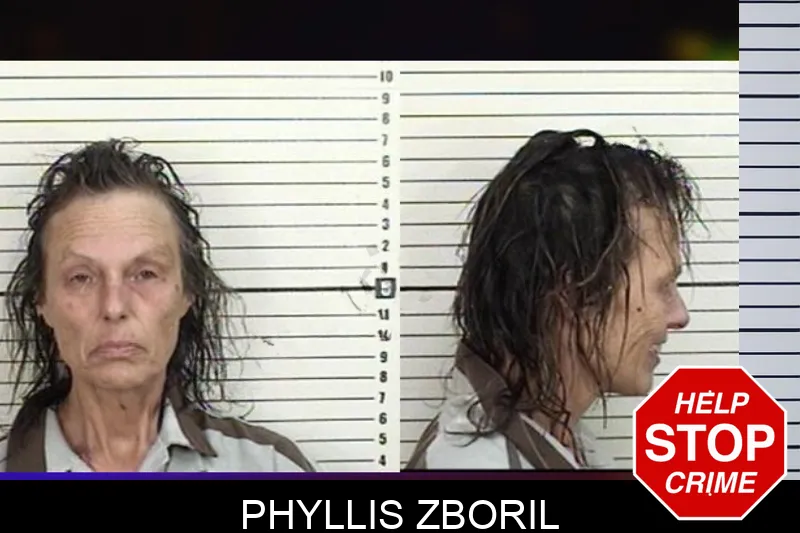 Phyllis Zboril mugshot – Camden County , Georgia Phyllis Zboril mugshot