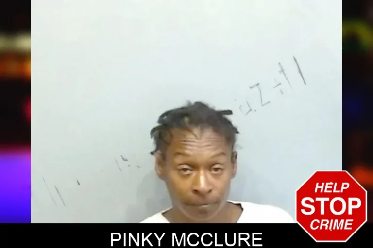 Pinky McClure mugshot – Fulton County , Georgia Pinky McClure
