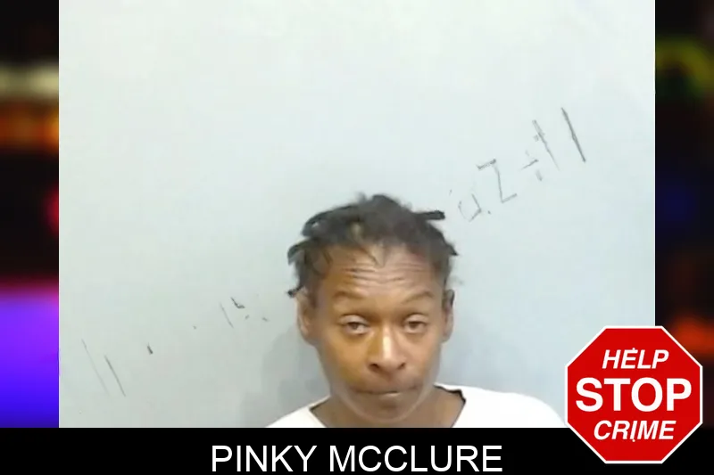 Pinky McClure mugshot – Fulton County , Georgia Pinky McClure mugshot