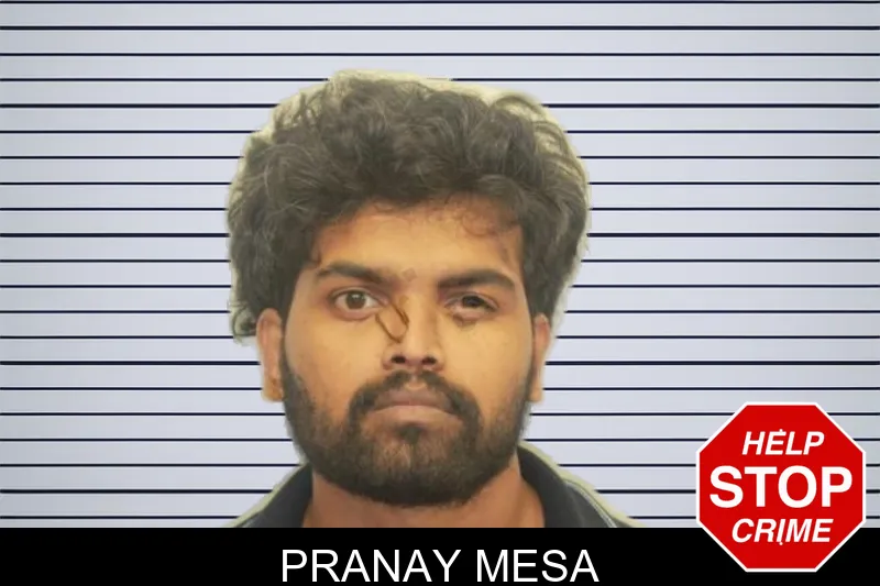 Pranay Mesa mugshot