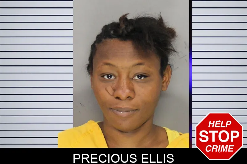 Precious Ellis mugshot – Cobb County , Georgia Precious Ellis mugshot