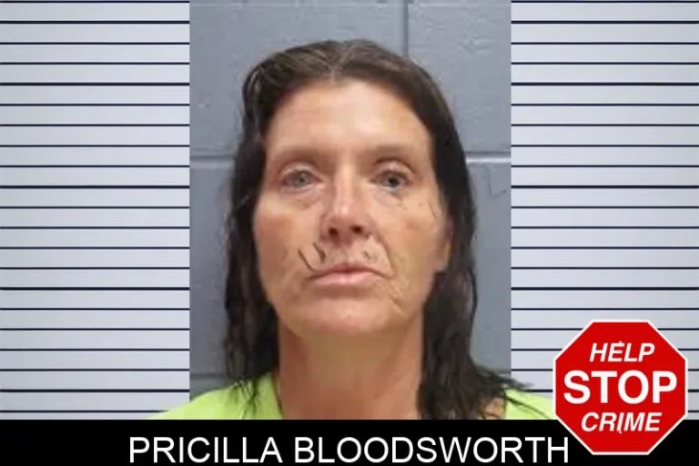 Pricilla Bloodsworth mugshot – Lee County , Georgia Pricilla Bloodsworth