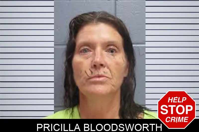 Pricilla Bloodsworth mugshot – Lee County , Georgia Pricilla Bloodsworth mugshot