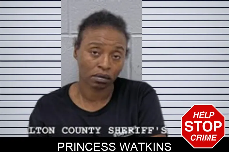 Princess Watkins mugshot