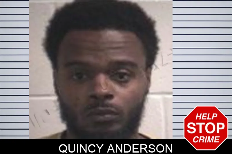 Quincy Anderson mugshot