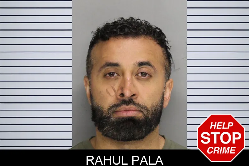 Rahul Pala mugshot