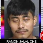 Ramon Jalal Che mugshot – Bacon County , Georgia Ramon Jalal Che mugshot