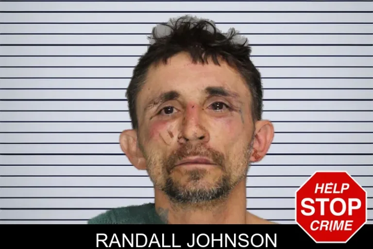 Randall Johnson mugshot – Cobb County , Georgia Randall Johnson