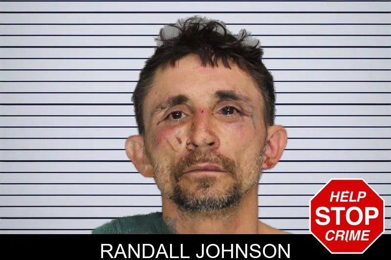 Randall Johnson mugshot – Cobb County , Georgia Randall Johnson mugshot