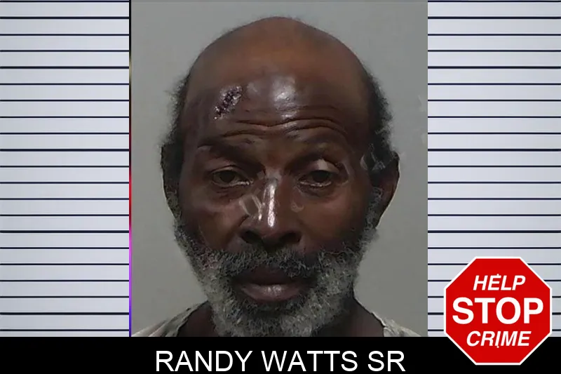 Randy Watts Sr mugshot