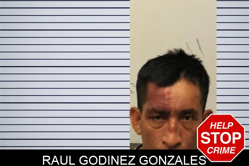 Raul Godinez Gonzales mugshot