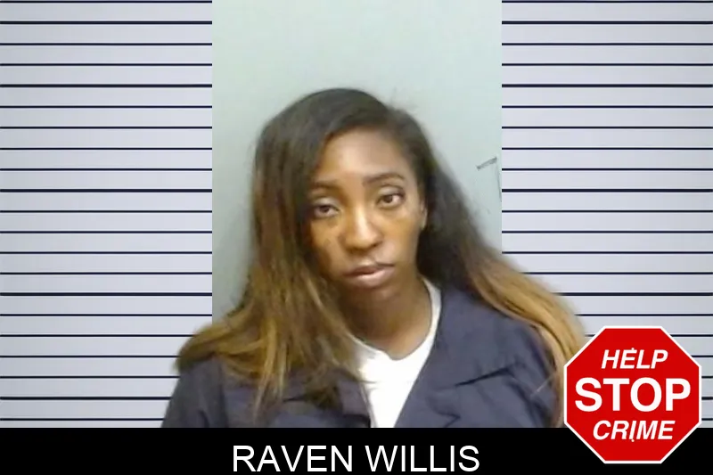 Raven Willis mugshot