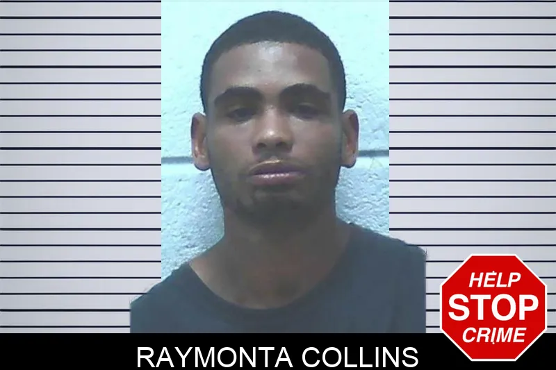 Raymonta Collins mugshot