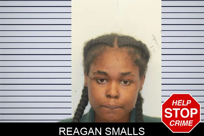 Reagan Smalls mugshot