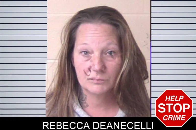Rebecca Deanecelli mugshot – Walker County , Georgia Rebecca Deanecelli mugshot