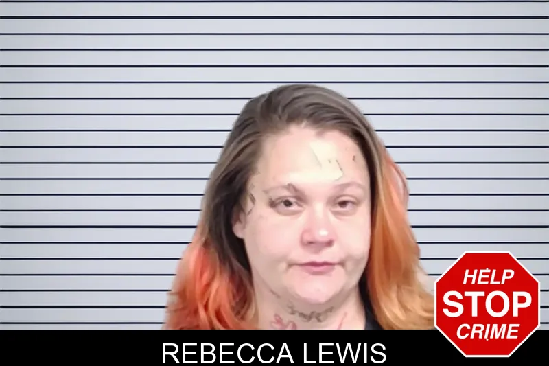 Rebecca Lewis mugshot