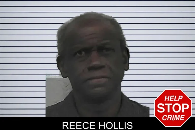 Reece Hollis mugshot – Bleckley County , Georgia Reece Hollis