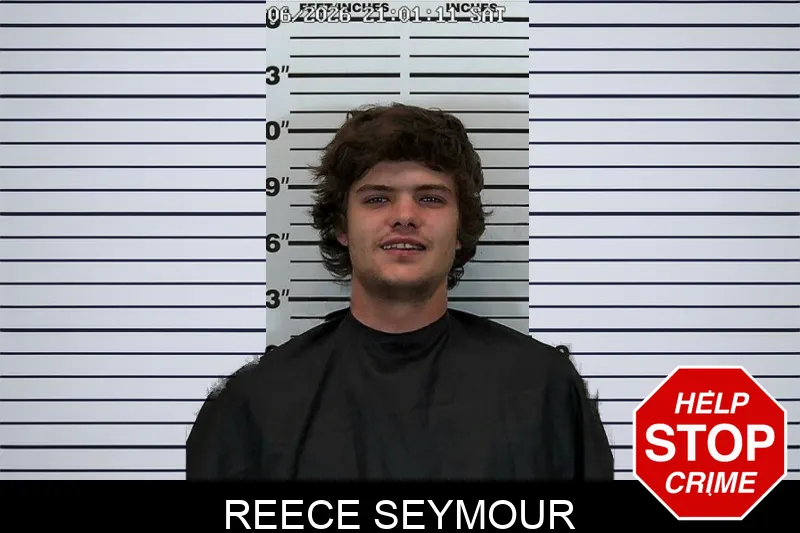 Reece Seymour mugshot