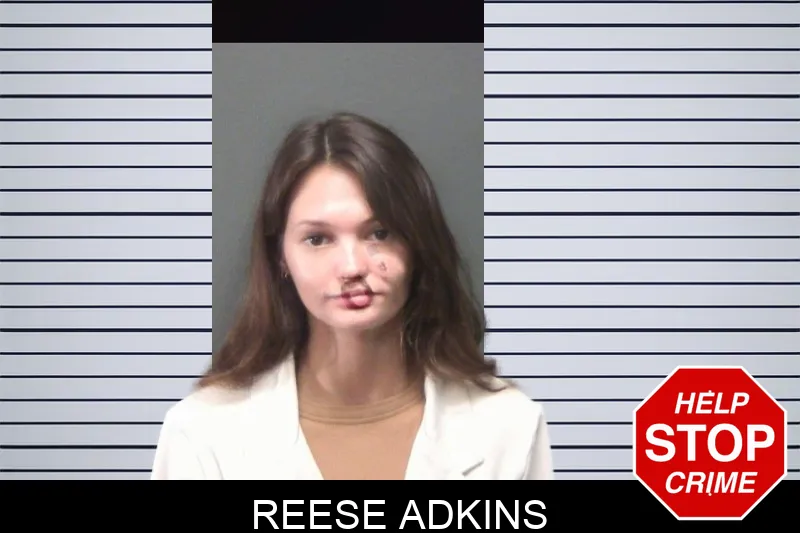 Reese Adkins mugshot
