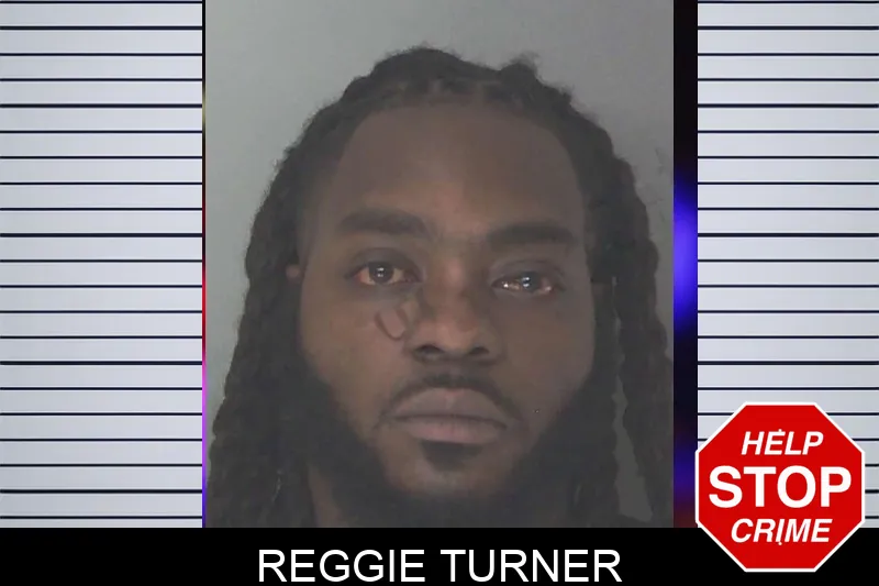 Reggie Turner mugshot – Douglas County , Georgia Reggie Turner mugshot