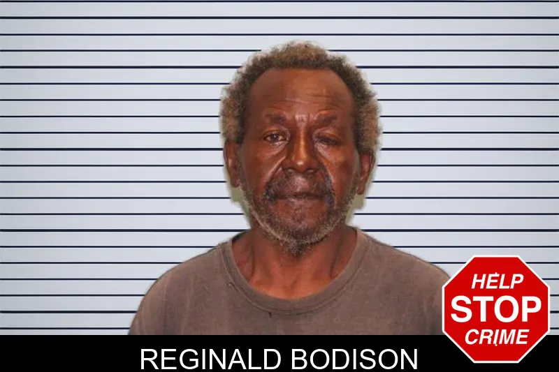 Reginald Bodison mugshot