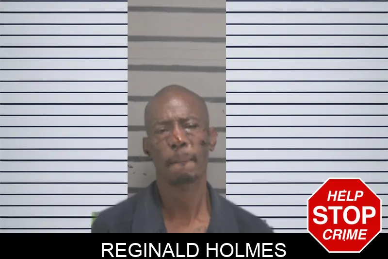 Reginald Holmes mugshot