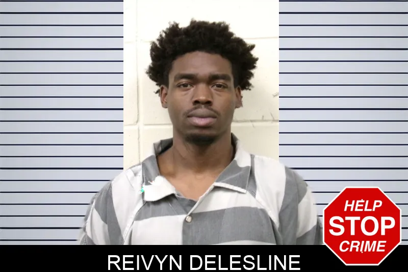 Reivyn Delesline mugshot