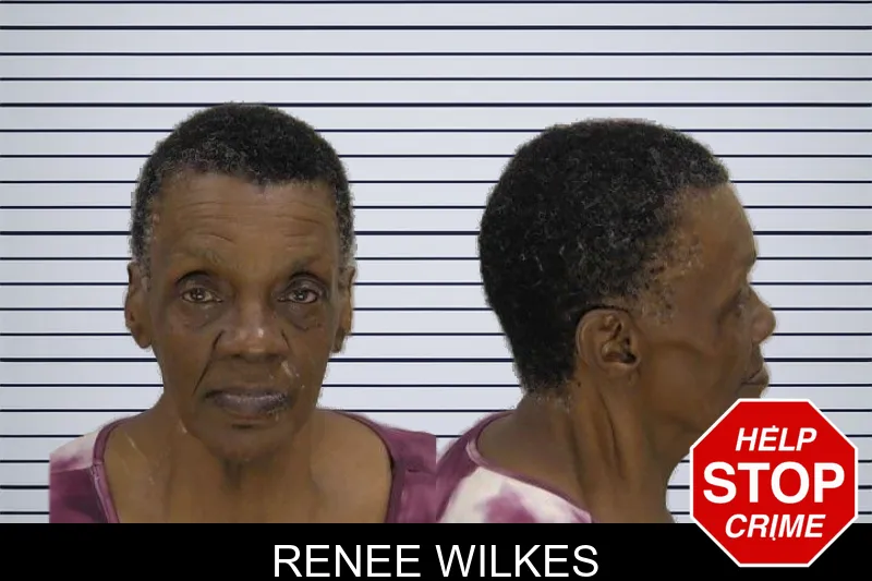 Renee Wilkes mugshot