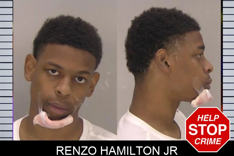 Renzo Hamilton Jr mugshot