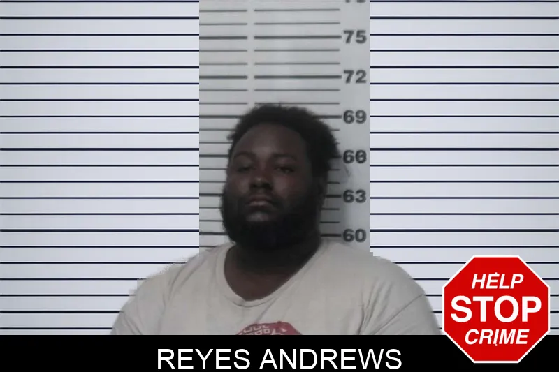 Reyes Andrews mugshot