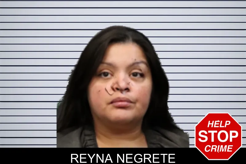 Reyna Negrete mugshot