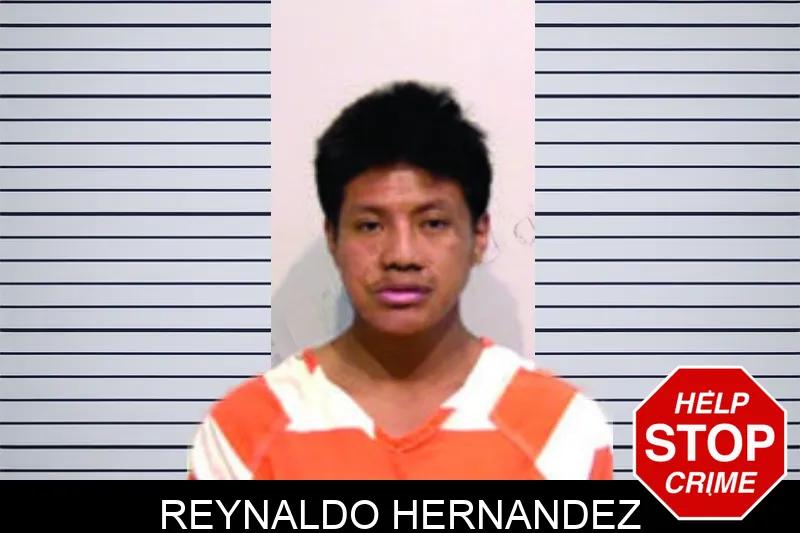 Reynaldo Hernandez mugshot