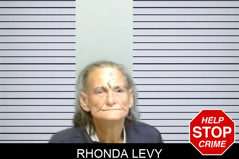 Rhonda Levy mugshot