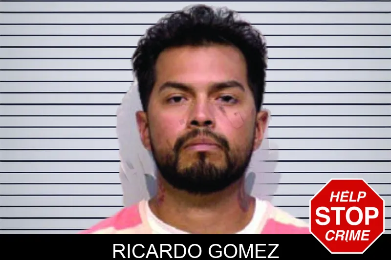 Ricardo Gomez mugshot