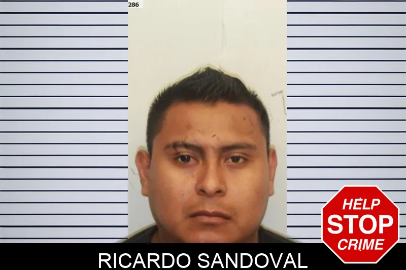 Ricardo Sandoval mugshot